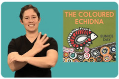 The Coloured Echidna