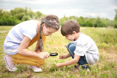 Photo of search