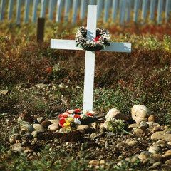 Photo of die
